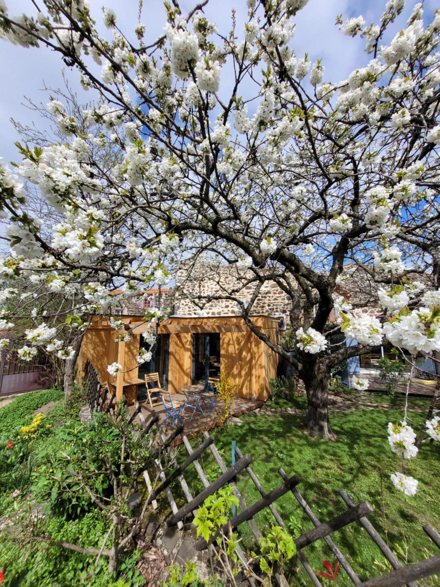 La Maisonnette Sous Le Cerisier Villa Bergonne Exterior photo